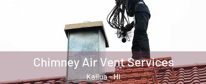  Chimney Air Vent Services Kailua - HI