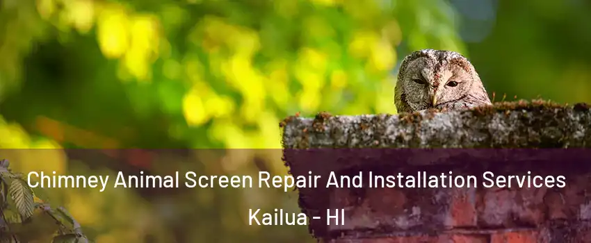  Chimney Animal Screen Repair And Installation Services Kailua - HI