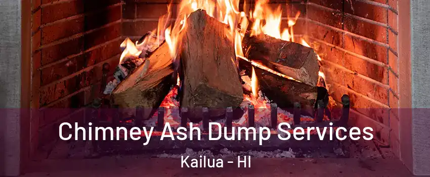  Chimney Ash Dump Services Kailua - HI