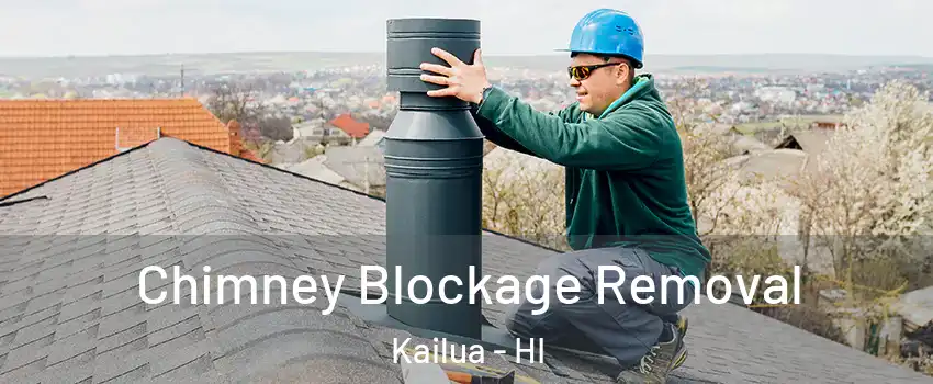 Chimney Blockage Removal Kailua - HI