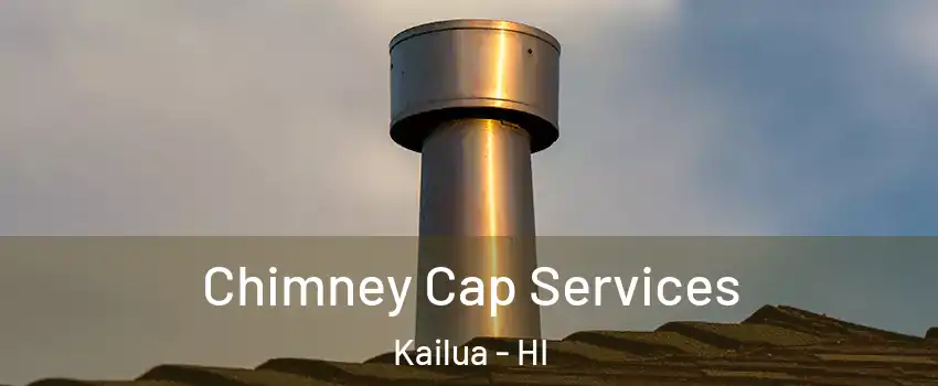 Chimney Cap Services Kailua - HI