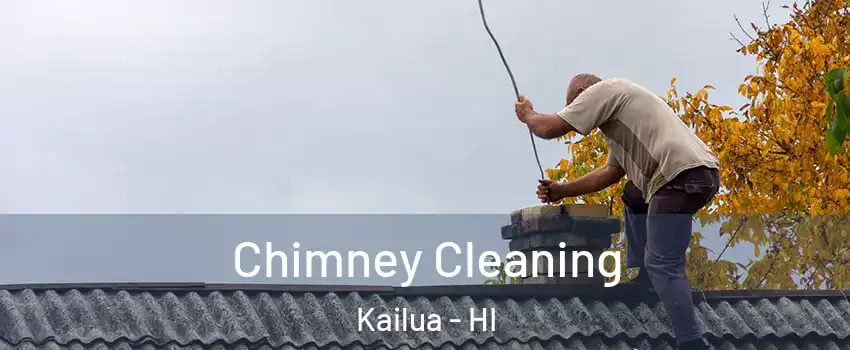  Chimney Cleaning Kailua - HI