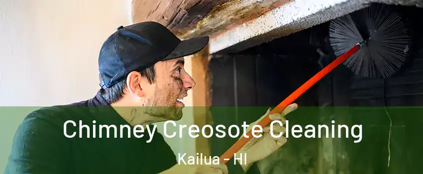  Chimney Creosote Cleaning Kailua - HI