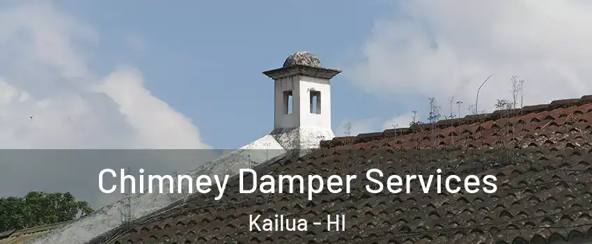  Chimney Damper Services Kailua - HI