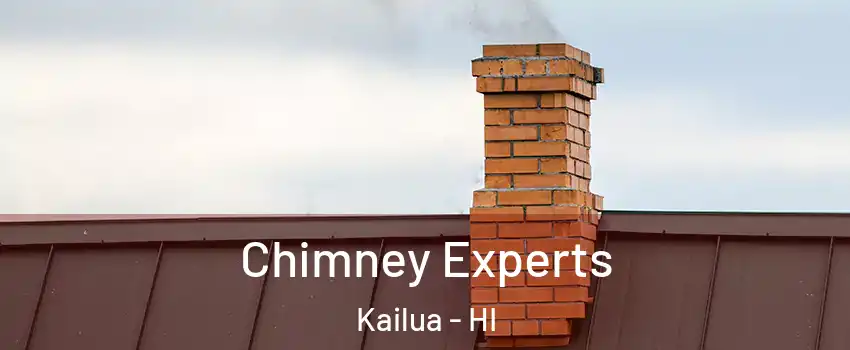 Chimney Experts Kailua - HI