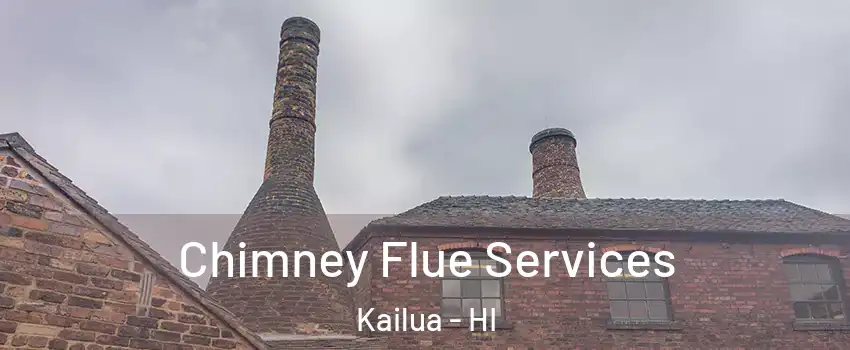  Chimney Flue Services Kailua - HI