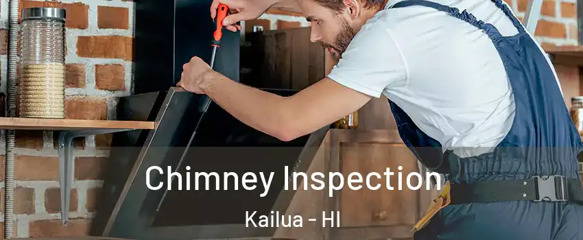  Chimney Inspection Kailua - HI