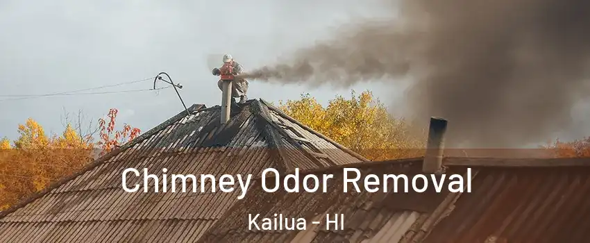  Chimney Odor Removal Kailua - HI