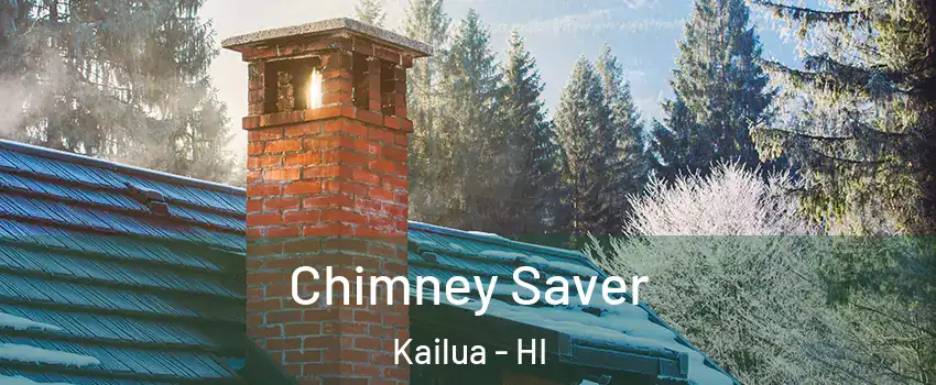  Chimney Saver Kailua - HI