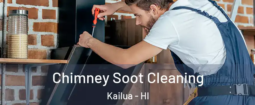  Chimney Soot Cleaning Kailua - HI