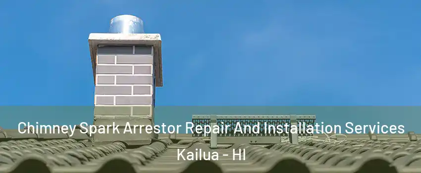  Chimney Spark Arrestor Repair And Installation Services Kailua - HI