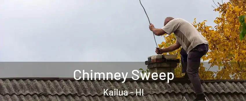  Chimney Sweep Kailua - HI