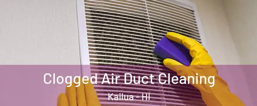 Clogged Air Duct Cleaning Kailua - HI