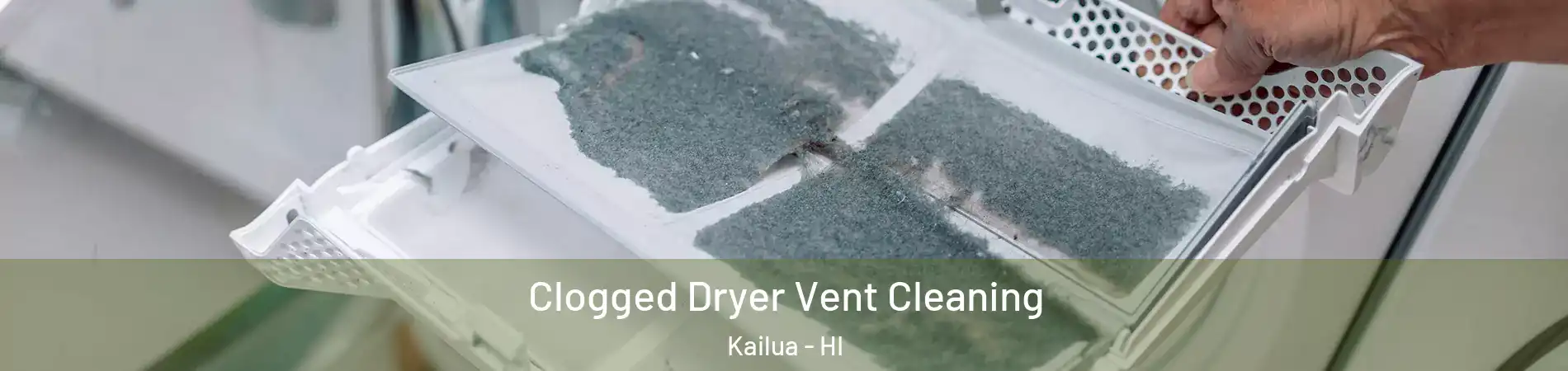  Clogged Dryer Vent Cleaning Kailua - HI
