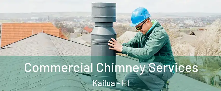  Commercial Chimney Services Kailua - HI