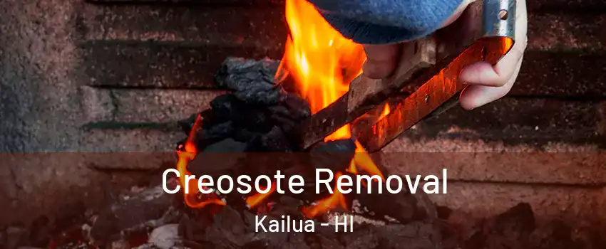  Creosote Removal Kailua - HI
