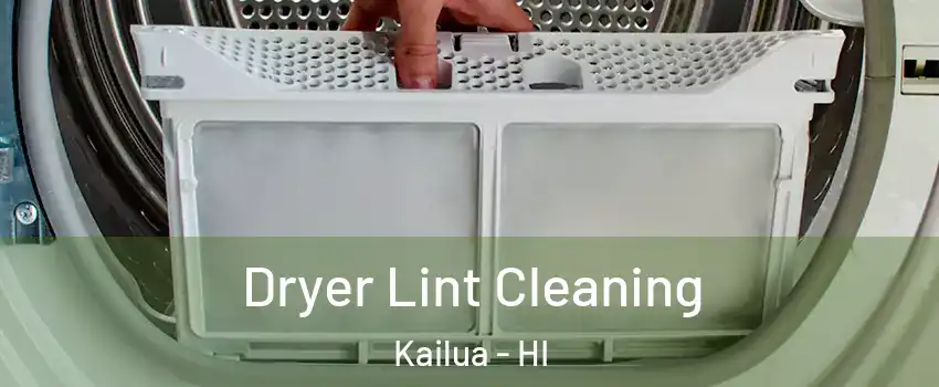  Dryer Lint Cleaning Kailua - HI