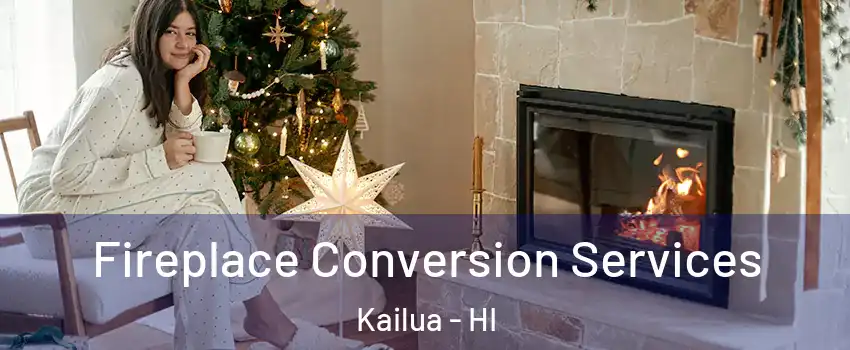  Fireplace Conversion Services Kailua - HI