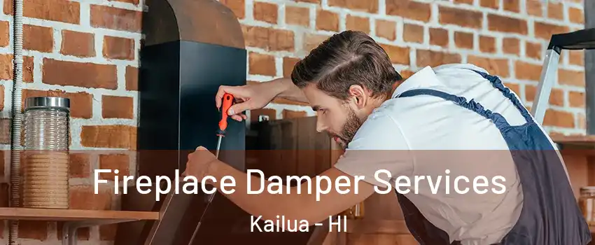  Fireplace Damper Services Kailua - HI