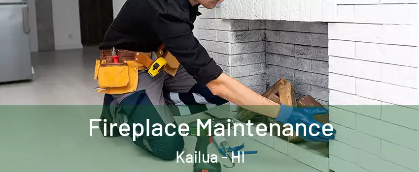  Fireplace Maintenance Kailua - HI