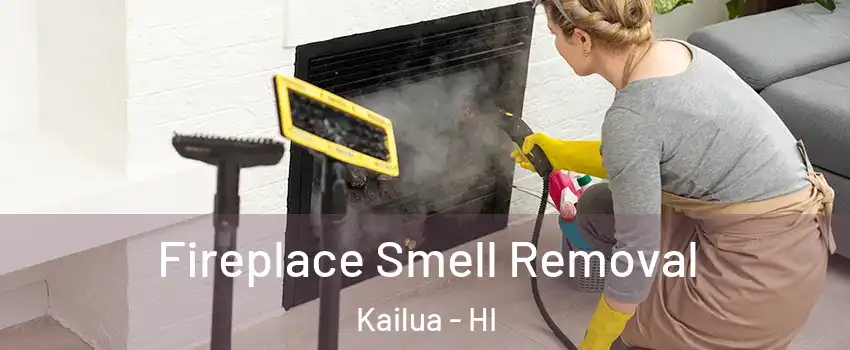  Fireplace Smell Removal Kailua - HI