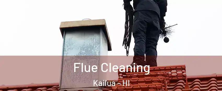  Flue Cleaning Kailua - HI