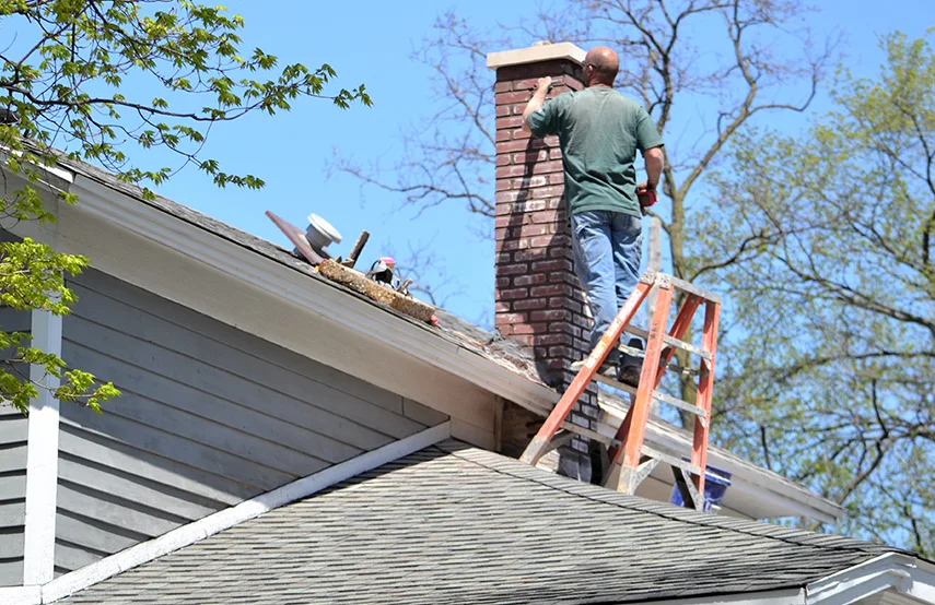 Chimney & Fireplace Inspections Services in Kailua, HI