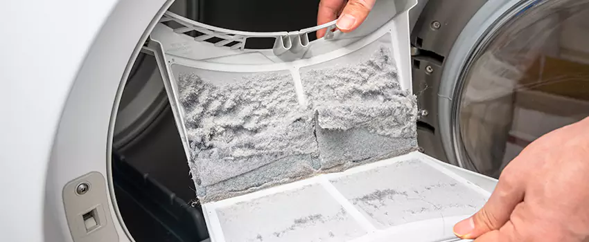 Best Dryer Lint Removal Company in Kailua, Hawaii