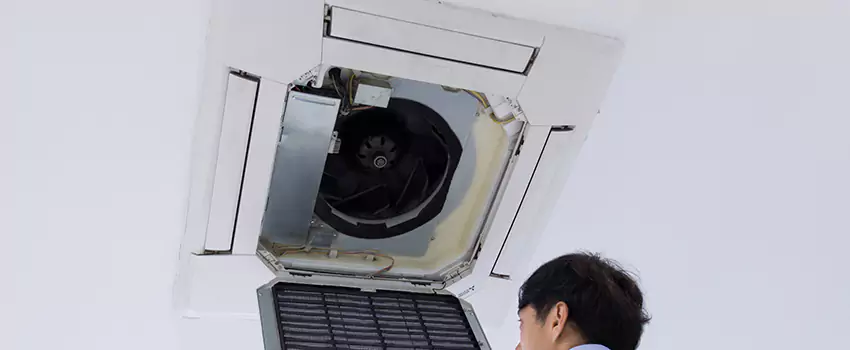 Benefits of Professional Air Duct Cleaning in Kailua, Hawaii