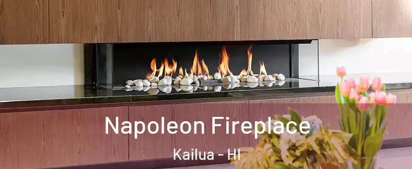  Napoleon Fireplace Kailua - HI