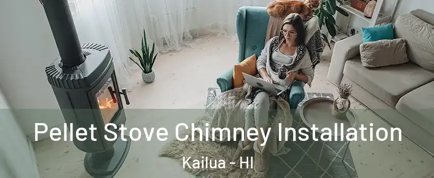  Pellet Stove Chimney Installation Kailua - HI