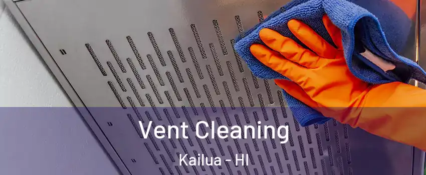  Vent Cleaning Kailua - HI