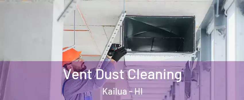 Vent Dust Cleaning Kailua - HI