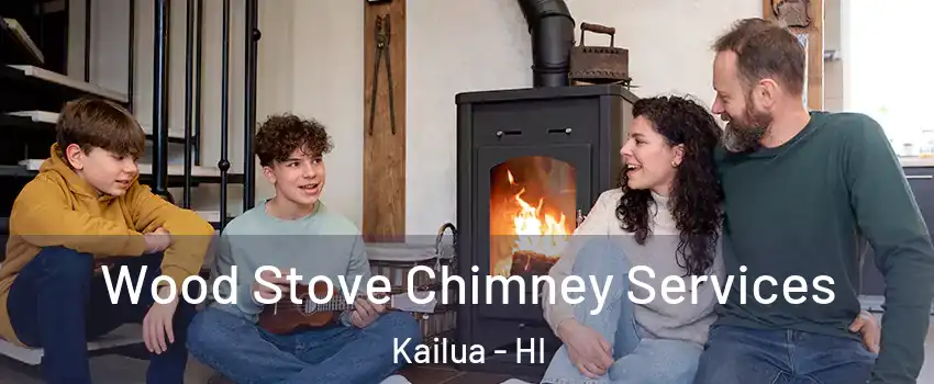  Wood Stove Chimney Services Kailua - HI