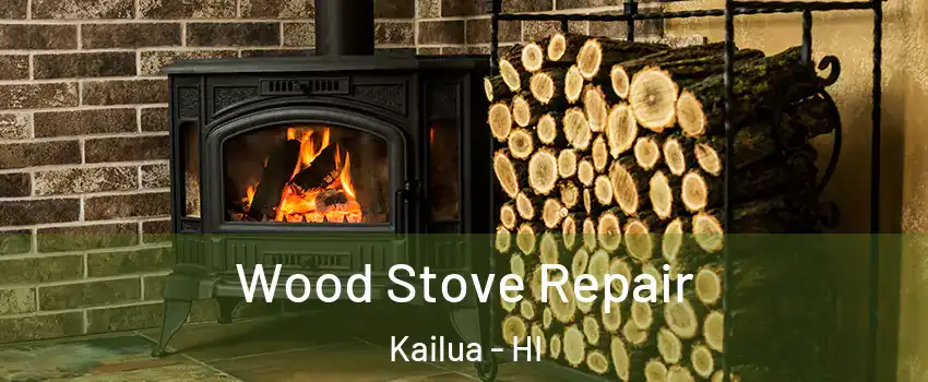  Wood Stove Repair Kailua - HI